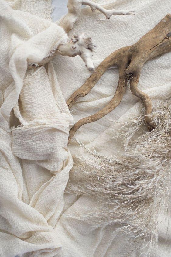 Spotlight on the Sustainable Fabric: The Bamboo Fabric